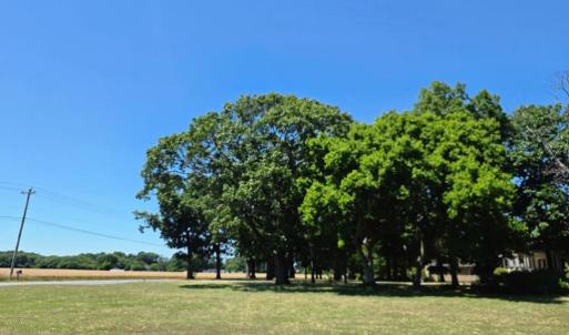 Photo #9 of 29321 ARLINGTON RD, CAPE CHARLES, VA 0.9 acres