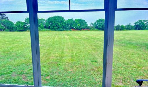 Backyard View