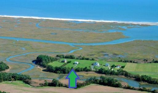 Aerial View1