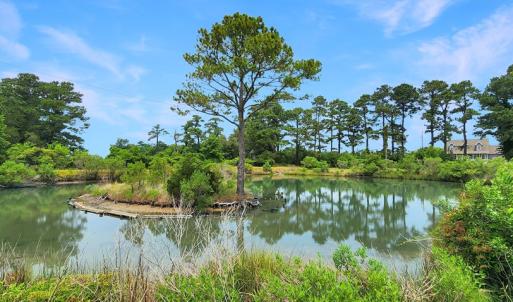 Photo #46 of 2598 CHERRYSTONE RD, CAPE CHARLES, VA 94.0 acres