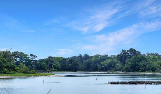 Photo #6 of 2598 CHERRYSTONE RD, CAPE CHARLES, VA 94.0 acres