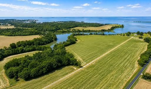 Photo #7 of 2598 CHERRYSTONE RD, CAPE CHARLES, VA 94.0 acres