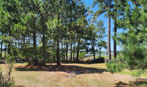Photo #38 of 5275 WOODLAND DR, CHINCOTEAGUE, VA 2.4 acres