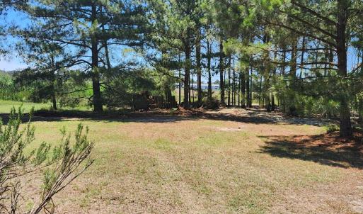 Photo #42 of 5275 WOODLAND DR, CHINCOTEAGUE, VA 2.4 acres