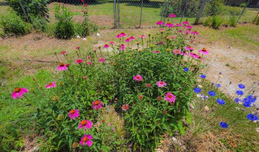 Photo #30 of 7781 SEASIDE RD, NASSAWADOX, VA 0.7 acres