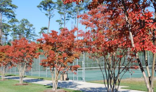 Photo #31 of .3 NELLIE STEVENS CT, CAPE CHARLES, VA 8.0 acres