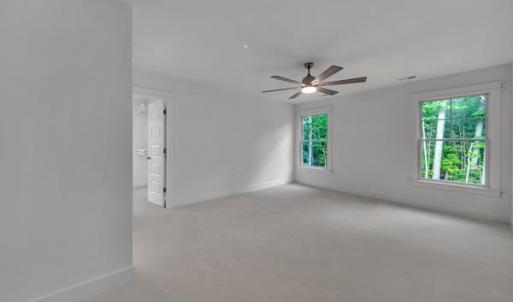 Photo #26 of 3 NELLIE STEVENS CT, CAPE CHARLES, VA 8.0 acres