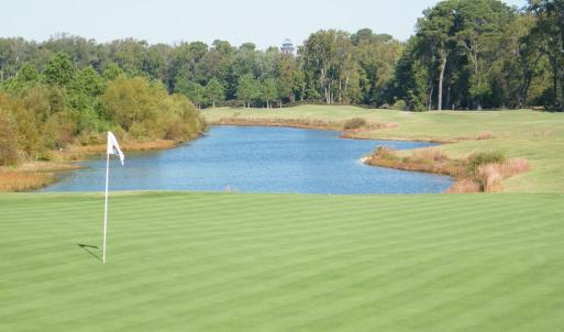 Photo #52 of 3 NELLIE STEVENS CT, CAPE CHARLES, VA 8.0 acres