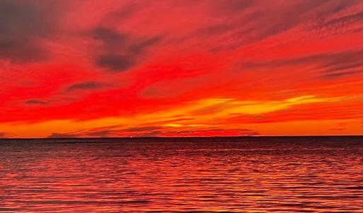 Photo #60 of 3 NELLIE STEVENS CT, CAPE CHARLES, VA 8.0 acres