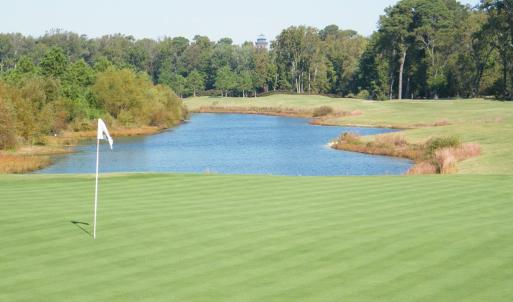 Photo #53 of 3 NELLIE STEVENS CT, CAPE CHARLES, VA 8.0 acres
