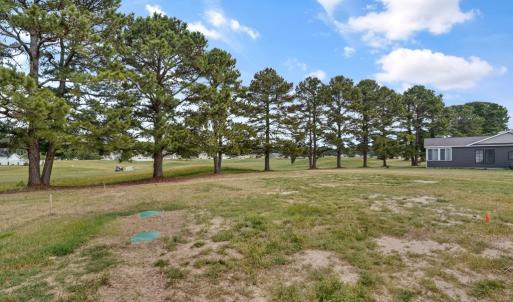 Photo #49 of 3077 NAVIGATOR DR, GREENBACKVILLE, VA 91.0 acres