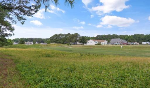 Photo #50 of 3077 NAVIGATOR DR, GREENBACKVILLE, VA 91.0 acres