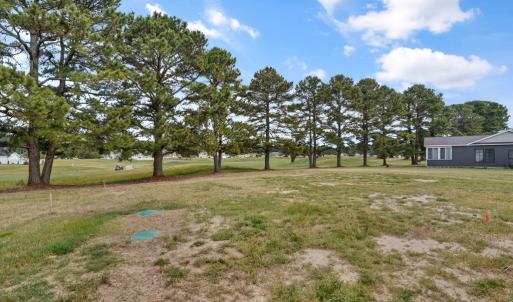 Photo #51 of 3077 NAVIGATOR DR, GREENBACKVILLE, VA 91.0 acres