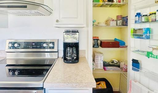 Photo #15 of 38069 DAVEY JONES BLVD, GREENBACKVILLE, VA 0.2 acres