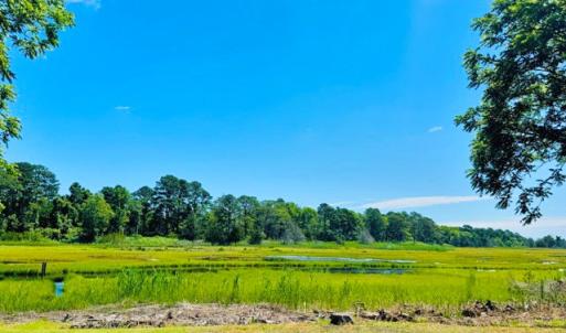 Photo #6 of 38069 DAVEY JONES BLVD, GREENBACKVILLE, VA 0.2 acres