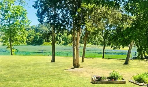 Photo #8 of 38069 DAVEY JONES BLVD, GREENBACKVILLE, VA 0.2 acres