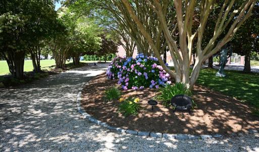 Driveway Entrance