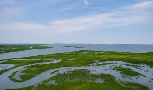 Photo #11 of 8 SOUTH ST, WACHAPREAGUE, VA 0.3 acres