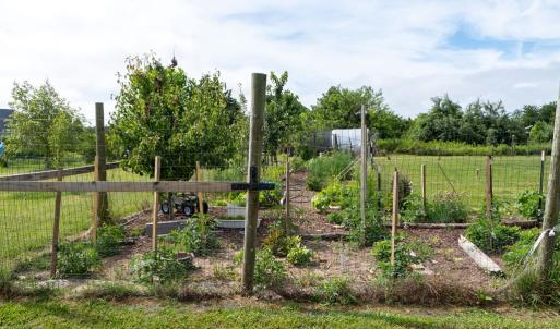 Vegetable Garden