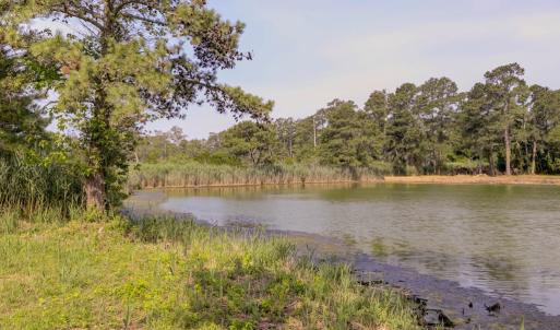 Photo #40 of 5290 LAKEVIEW RD, CHINCOTEAGUE, VA 0.3 acres