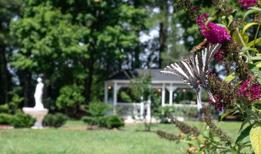 Photo #12 of 34000 SEASIDE RD, PAINTER, VA 5.8 acres