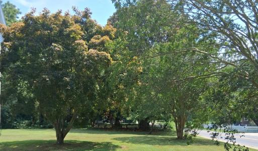 Photo #11 of 24033 DRUMMONDTOWN RD, ACCOMAC, VA 0.5 acres