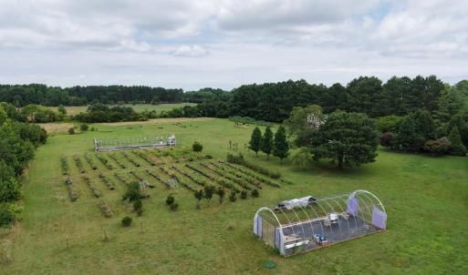 Photo #77 of 18140 PLANTATION RD, ONANCOCK, VA 5.7 acres