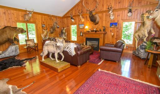 Den view 2