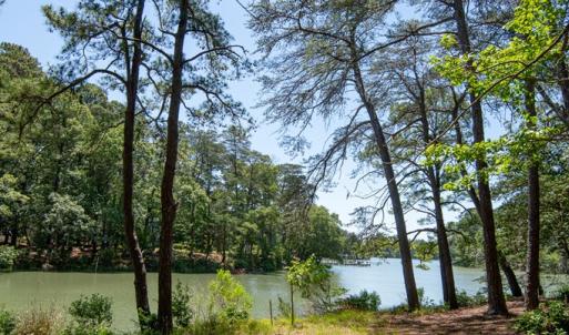 Photo #11 of 11373 SPOONBILL LN, MACHIPONGO, VA 0.8 acres