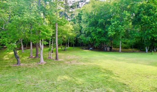 Rear yard.