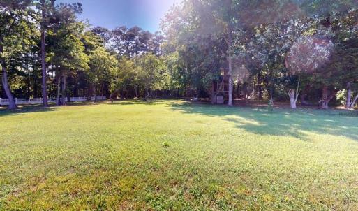 Rear yard.