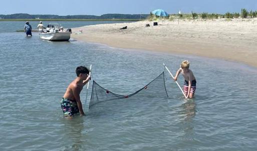Photo #61 of 25359 ATLANTIC ST, ACCOMAC, VA 3.0 acres