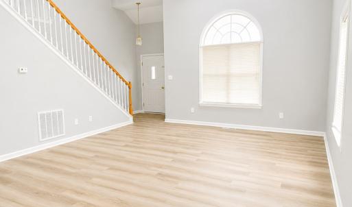 Photo #4 of 37115 SHARK CT, GREENBACKVILLE, VA 0.2 acres