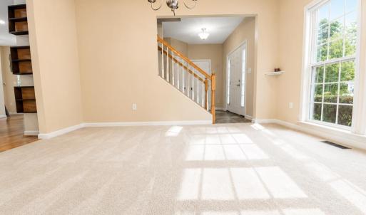 Photo #6 of 37303 DAVEY JONES BLVD, GREENBACKVILLE, VA 0.4 acres