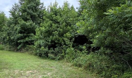Photo #7 of 7079 CHESTNUT LANE, CHINCOTEAGUE, VA 0.3 acres