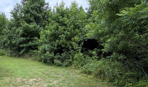 Photo #7 of 7079 CHESTNUT LANE, CHINCOTEAGUE, VA 0.3 acres