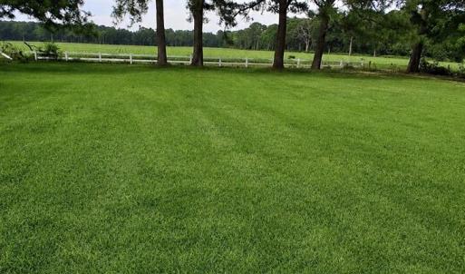 Photo #11 of 27251 MUTTON HUNK ROAD, PARKSLEY, VA 1.2 acres