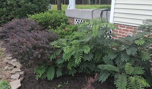 Photo #66 of 27251 MUTTON HUNK ROAD, PARKSLEY, VA 1.2 acres
