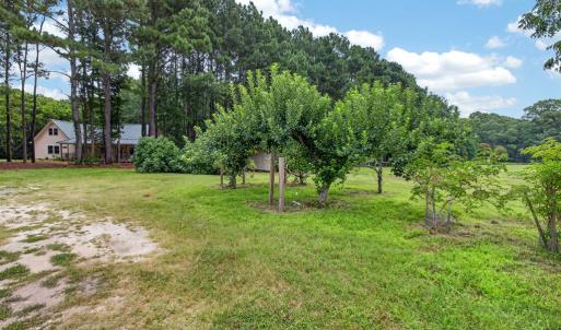 Fruit Trees and Open with Yard