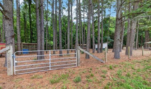 extra pasture for small farm animals