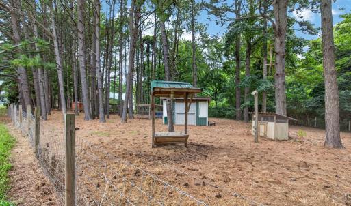 Photo #52 of 3315 SEASIDE RD, EXMORE, VA 11.0 acres