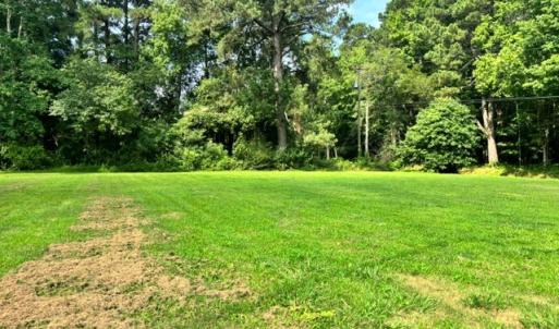 Photo #50 of 16461 BIG RD, BLOXOM, VA 0.9 acres
