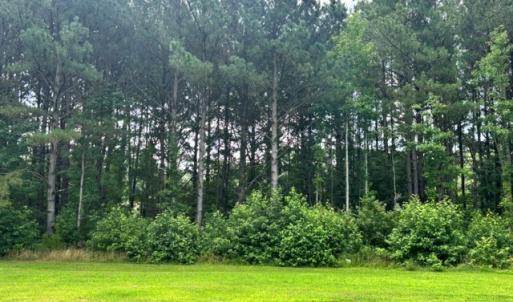 Photo #51 of 16461 BIG RD, BLOXOM, VA 0.9 acres