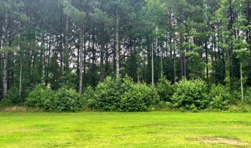 Photo #52 of 16461 BIG RD, BLOXOM, VA 0.9 acres