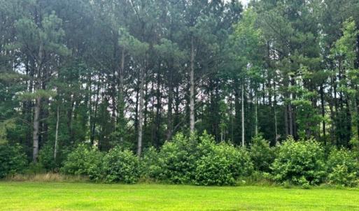 Photo #63 of 16461 BIG RD, BLOXOM, VA 0.9 acres