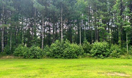 Photo #64 of 16461 BIG RD, BLOXOM, VA 0.9 acres