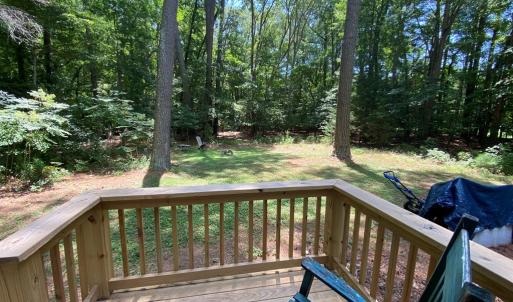 view from back porch
