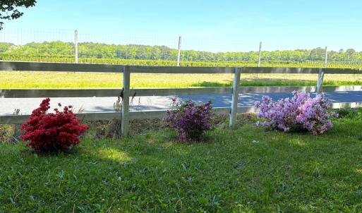 view out the front yard