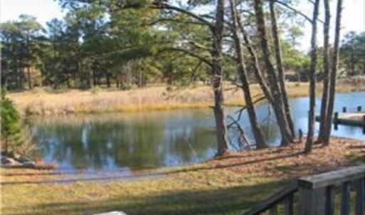 Creek front property.