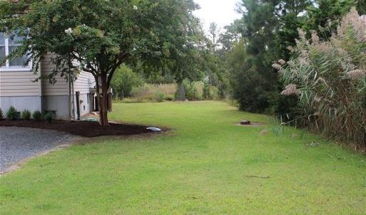 Side yard